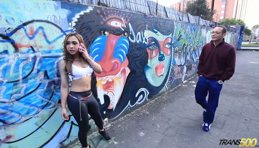 Pornobild Die verrückte Transe Irina Chanell wird in ein gestrecktes Arschloch gefickt